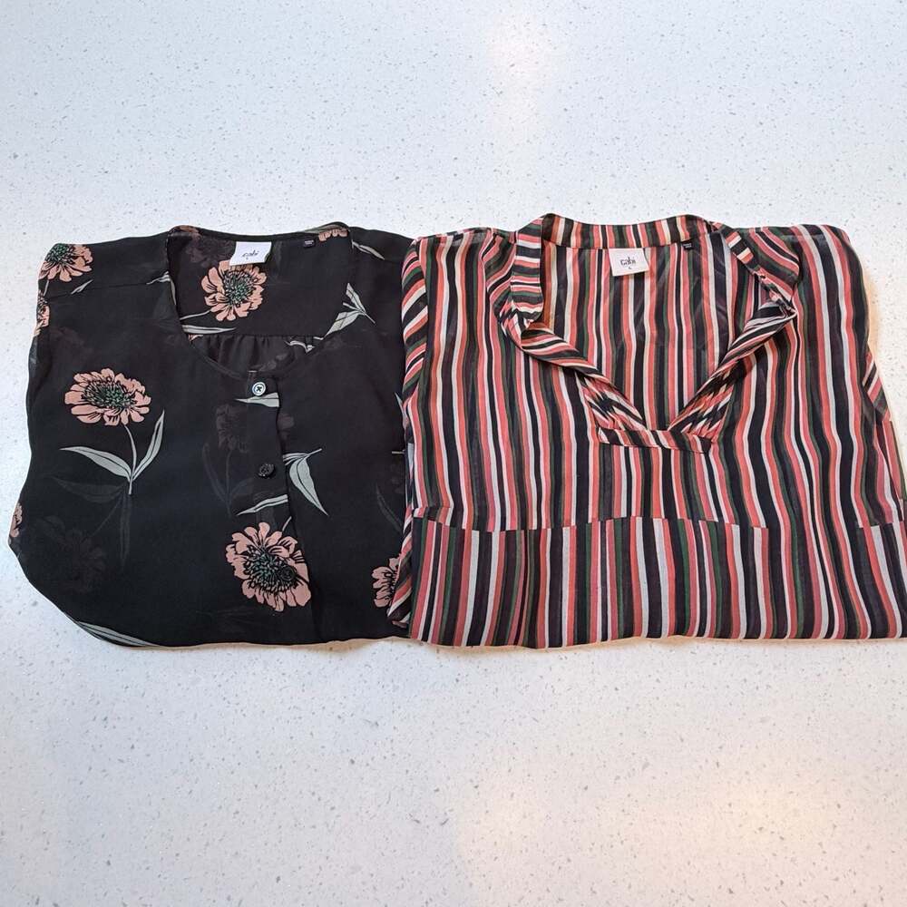 Cabi Josephine Floral Blouse and Taper Striped Tunic Bundle